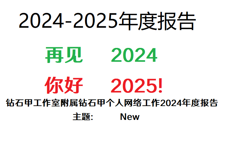 2024年度报告(初写版)